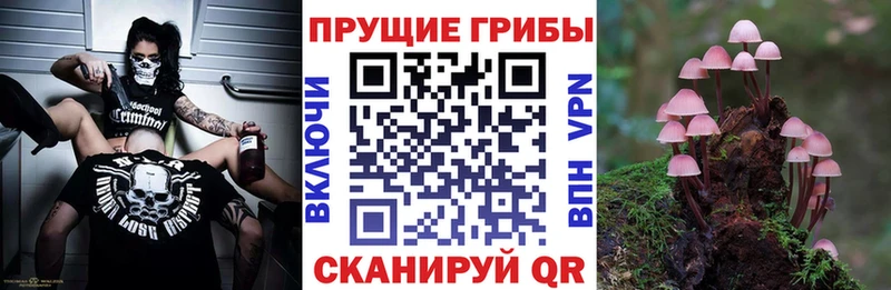 Галлюциногенные грибы Magic Shrooms  Пионерский 